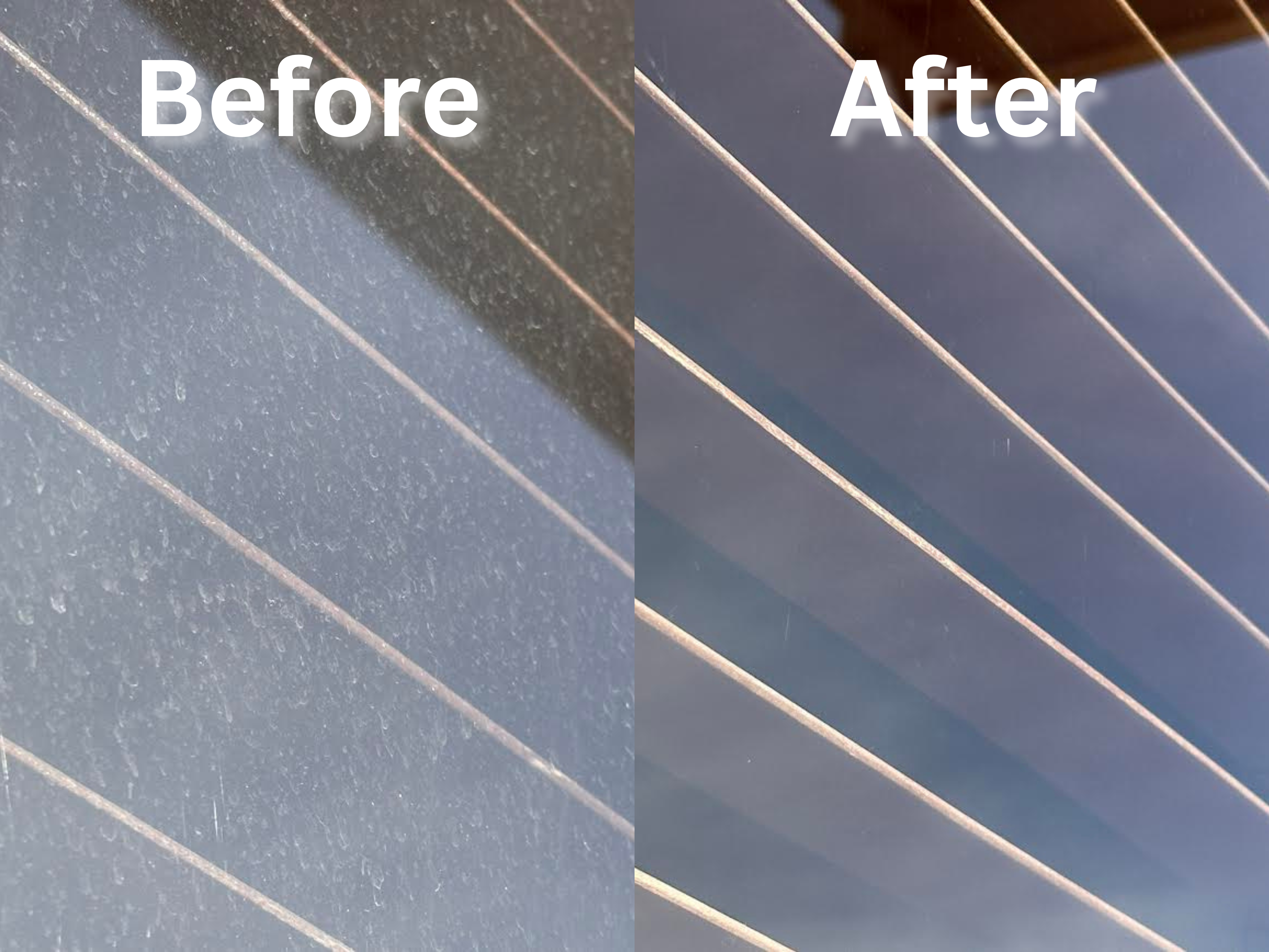 Professional window cleaning service
