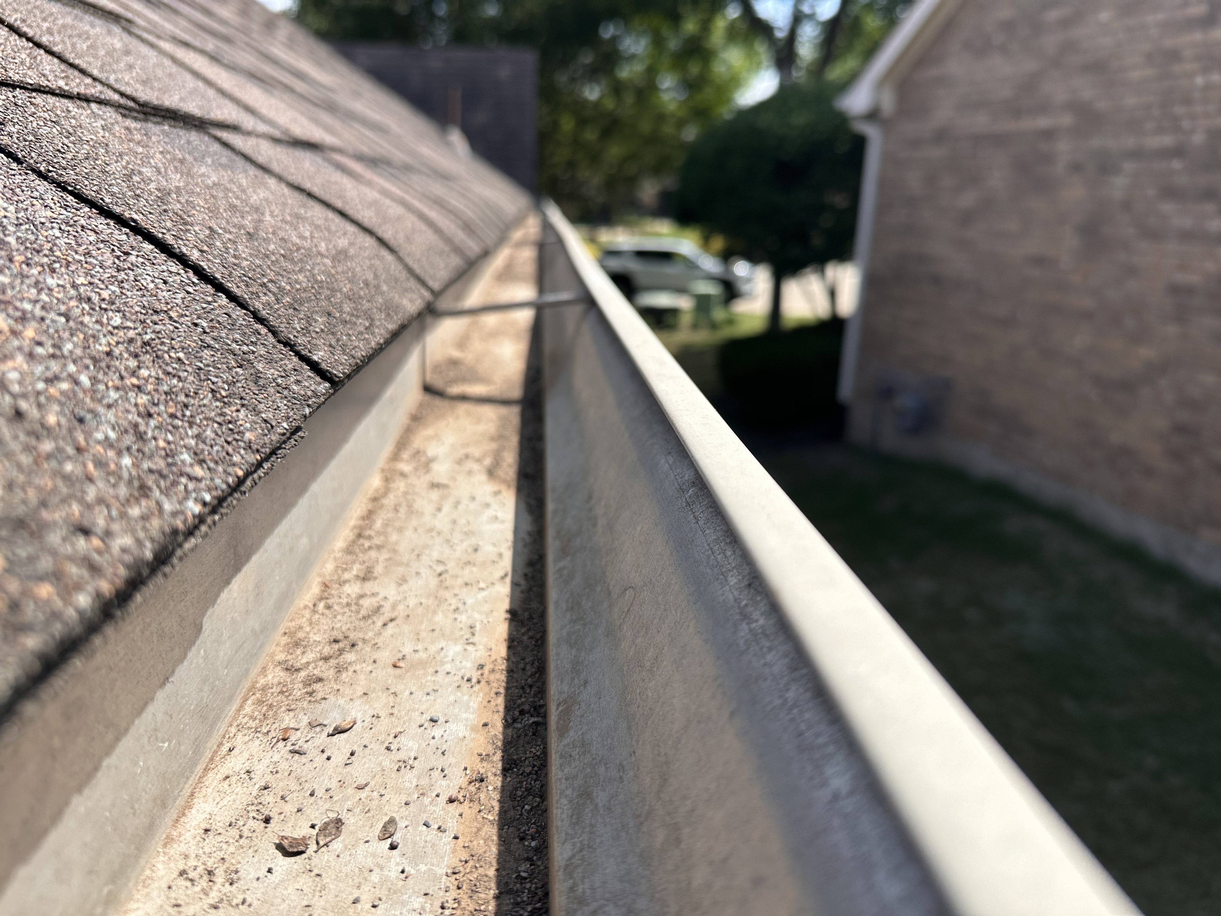Professional gutter cleaning service