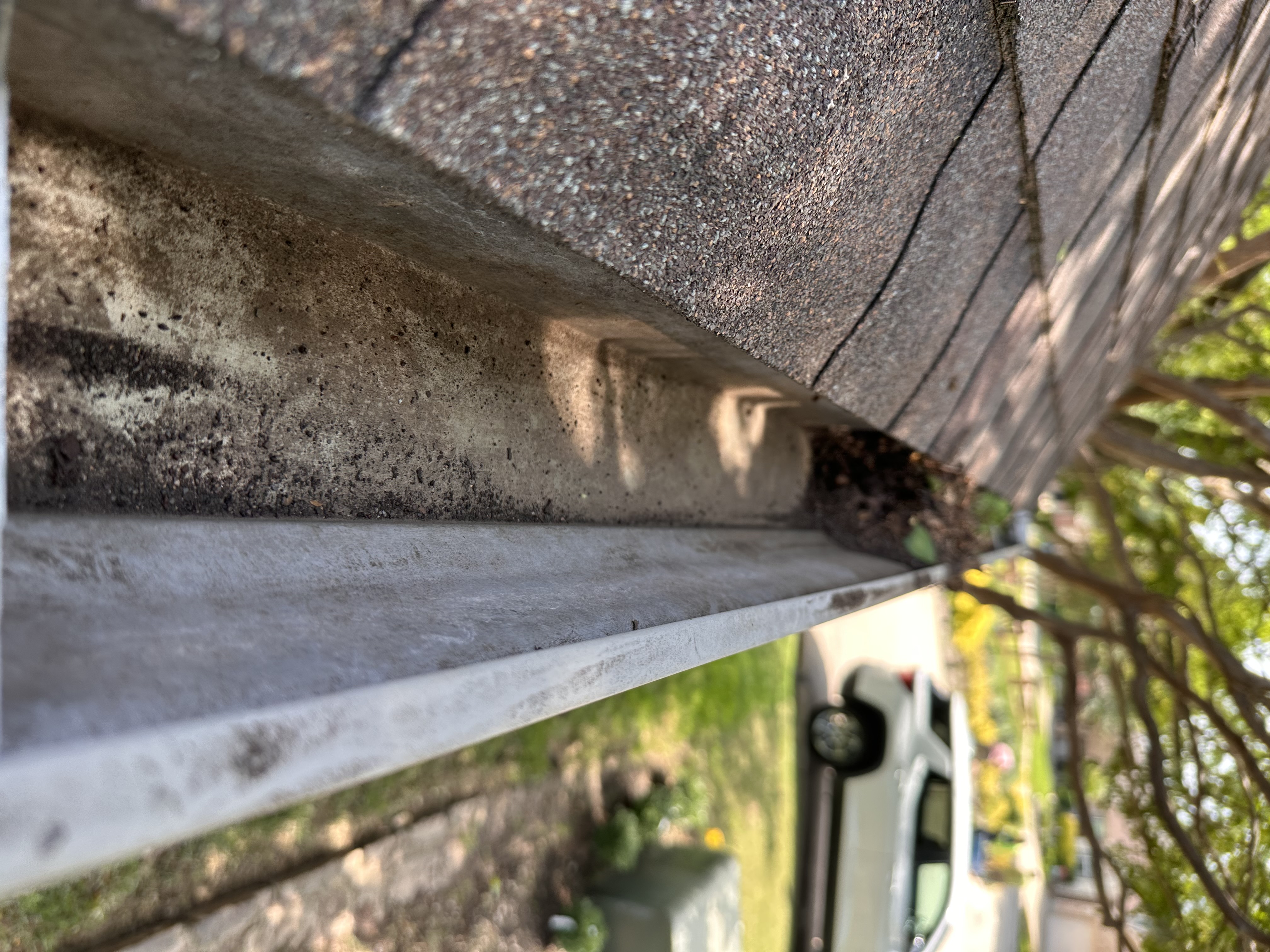 Partially clean gutter