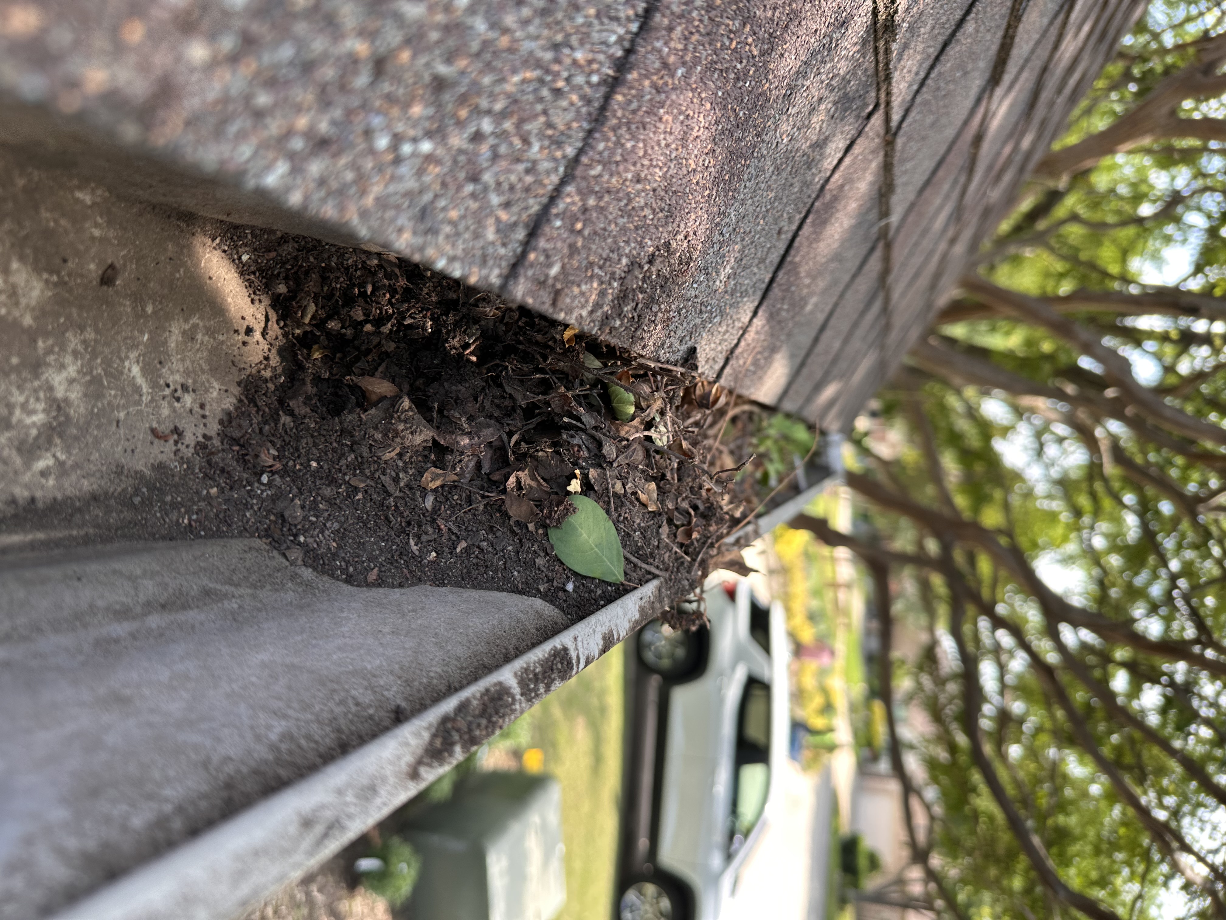 Dirt pile in gutter