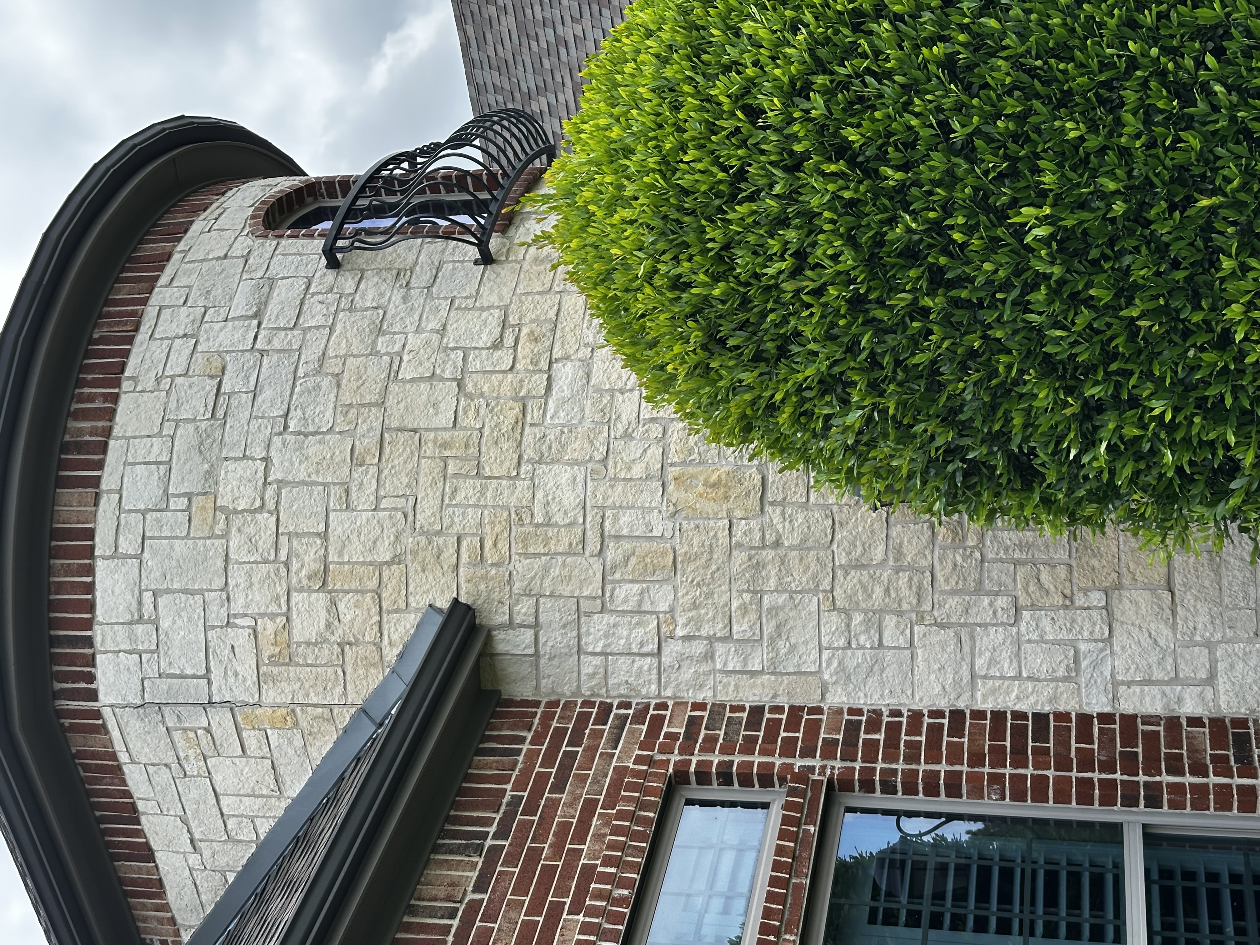 Mold free house