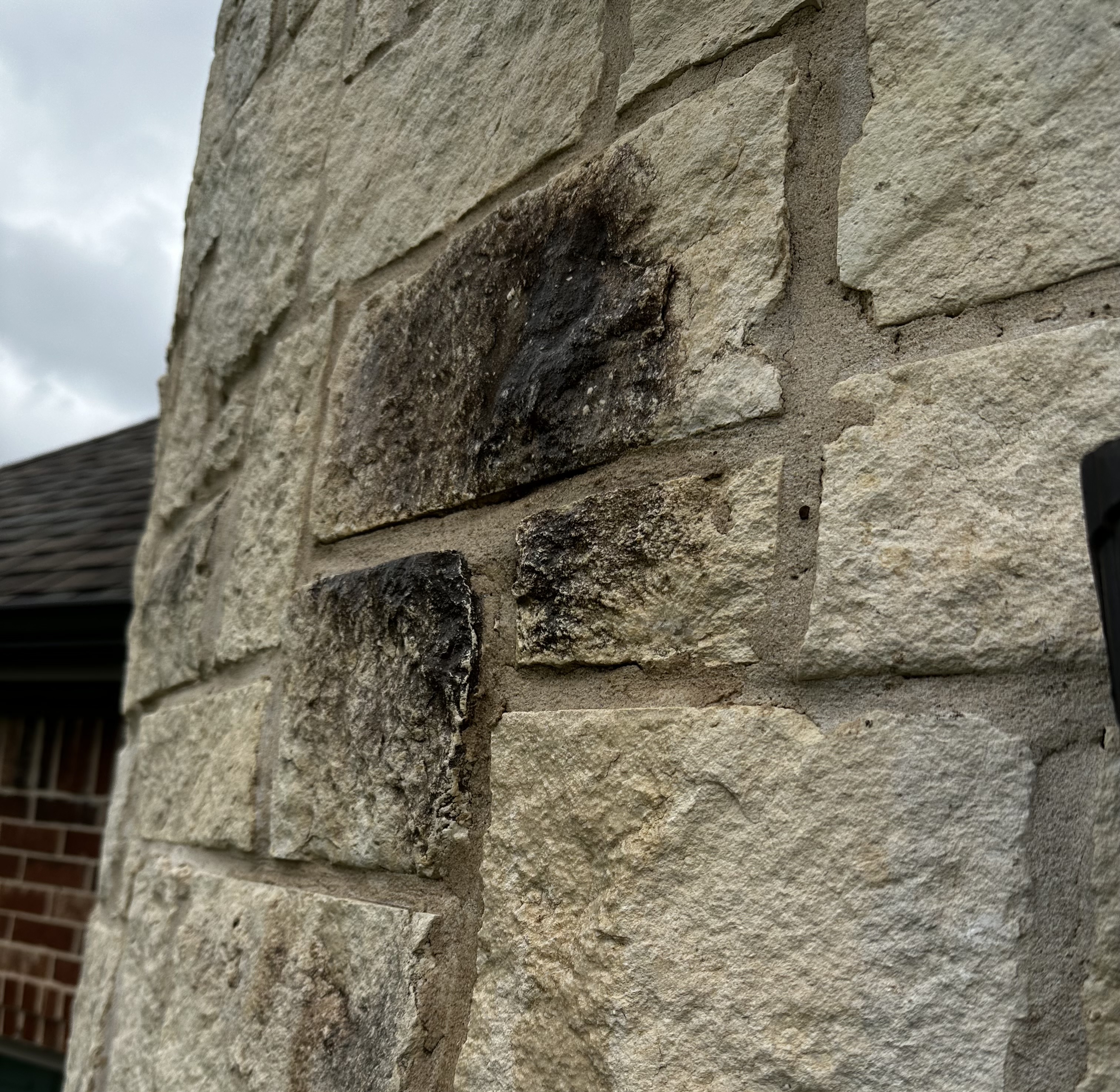 Mold spot