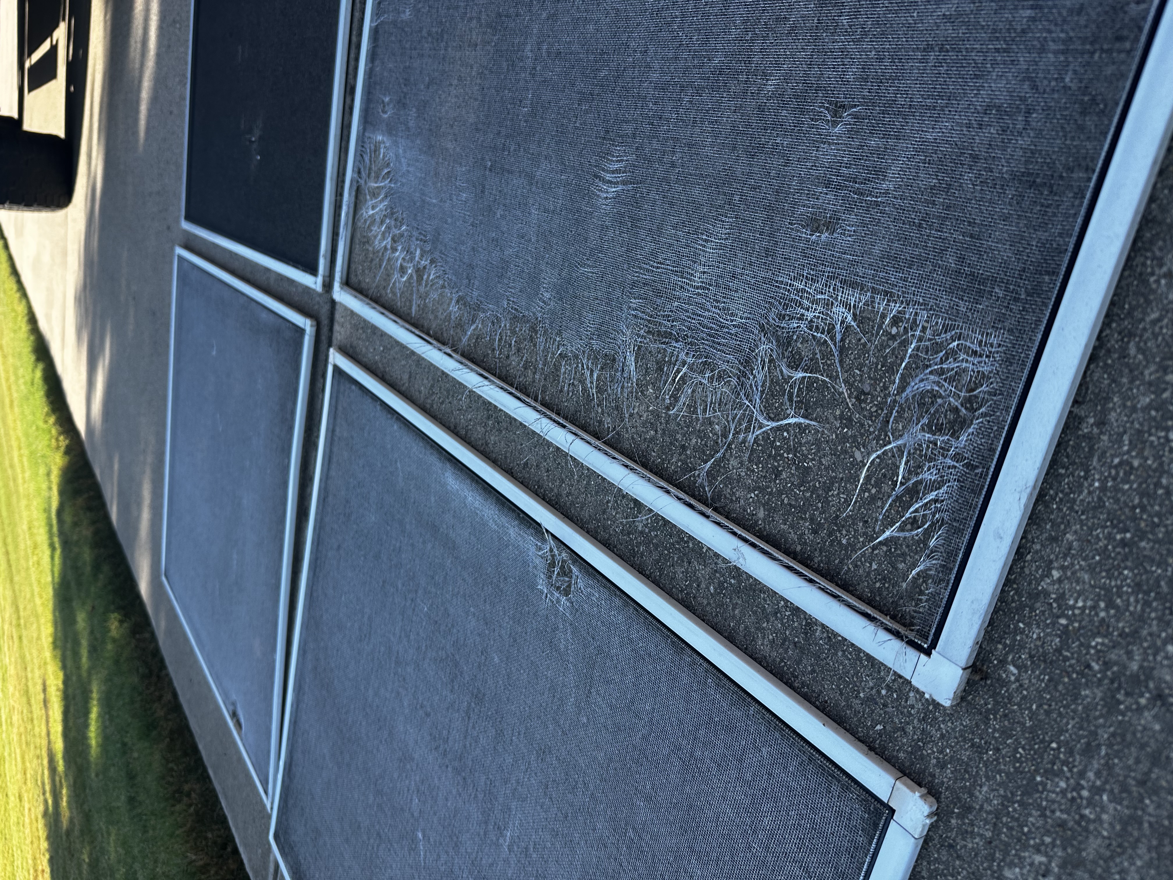 Old screens
